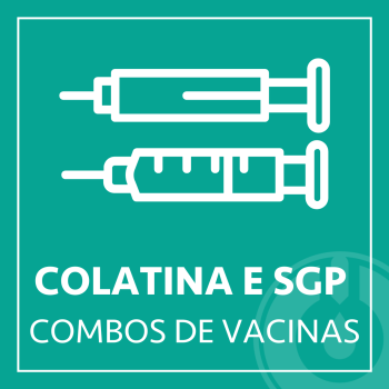 varicela, catapora, clivped vacinas, clivped, nina, nina saude, cvp, sis vacinas, cvp vacinas, meningite, dengue, gripe, vacina, vacinas, tetra viral, triplice viral, imuniclin, indiana, Imunoprime, Novaprev, ver, bronquiolite, gestamte, grávida, herpes zoster, zoster