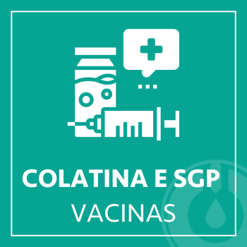 varicela, catapora, clivped vacinas, clivped, nina, nina saude, cvp, sis vacinas, cvp vacinas, meningite, dengue, gripe, vacina, vacinas, tetra viral, triplice viral, imuniclin, indiana, Imunoprime, Novaprev, ver, bronquiolite, gestamte, grávida, herpes zoster, zoster